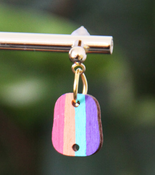4-Colored Rainbow Small Rectangular Earrings