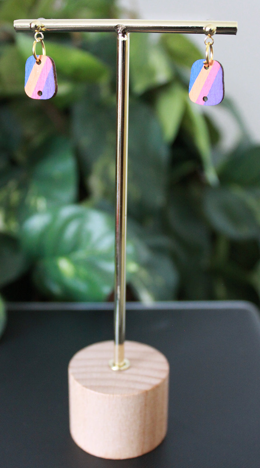 Diagonal 4-Color Rainbow Small Rectangular Earrings