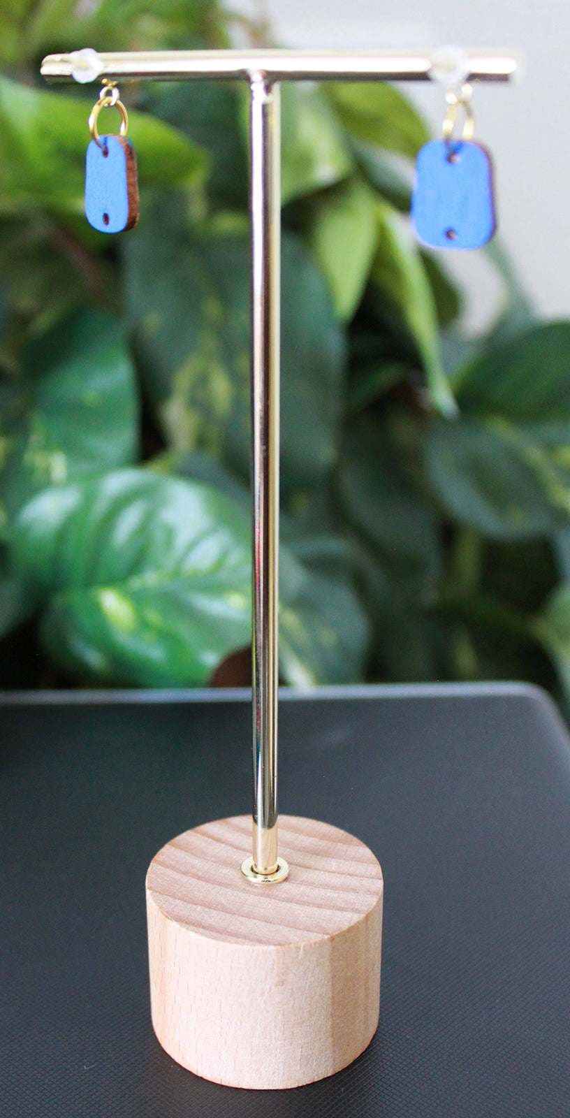 Diagonal 4-Color Rainbow Small Rectangular Earrings