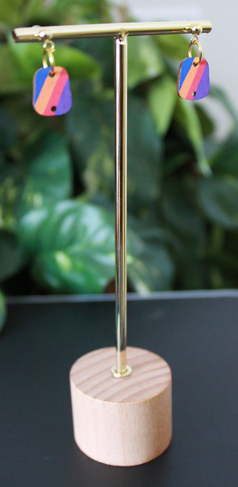 Diagonal 4-Color Rainbow Small Rectangular Earrings