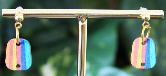 6-Colored Rainbow Small Rectangular Earrings