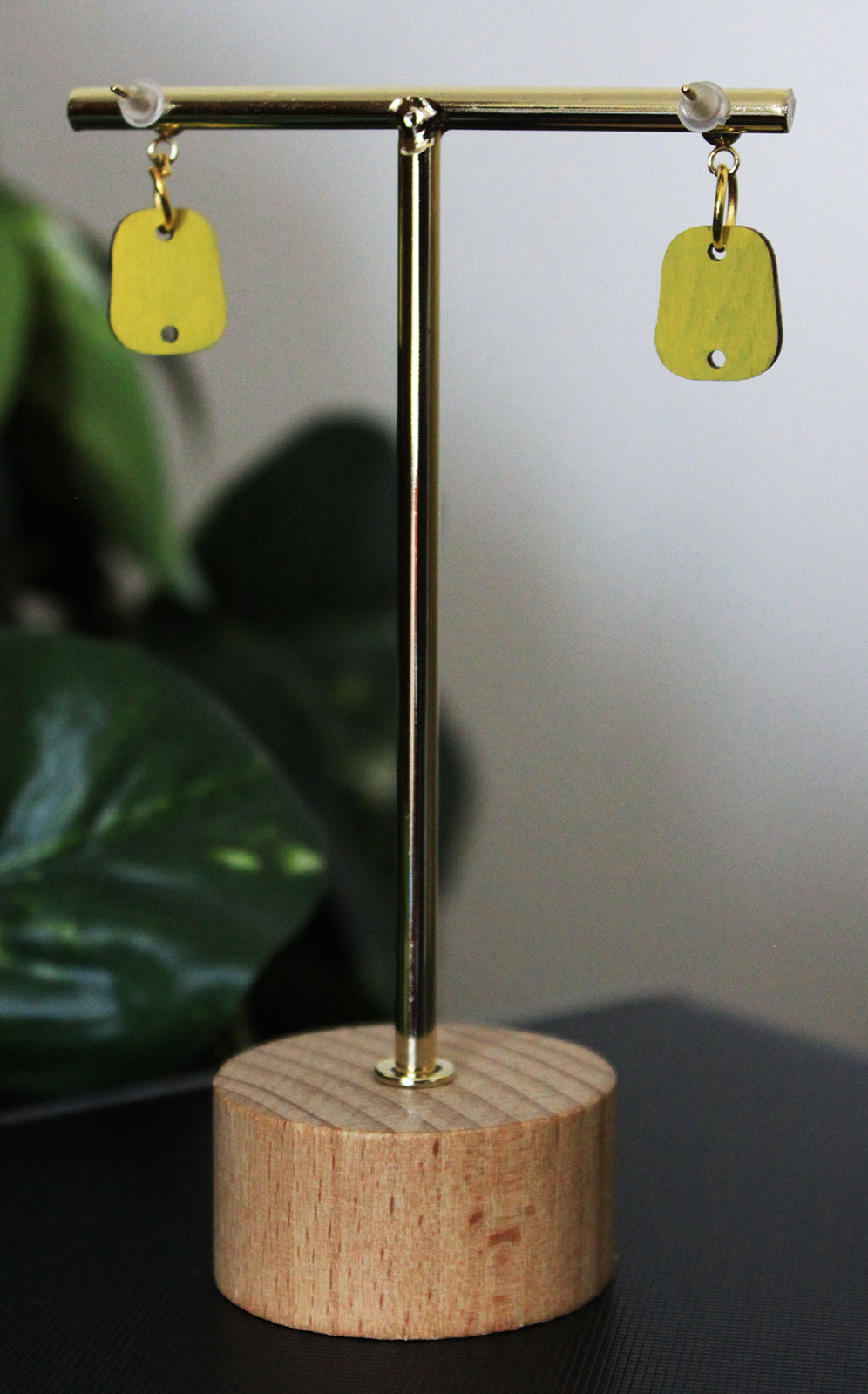 6-Colored Rainbow Small Rectangular Earrings