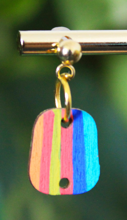 6-Colored Rainbow Small Rectangular Earrings