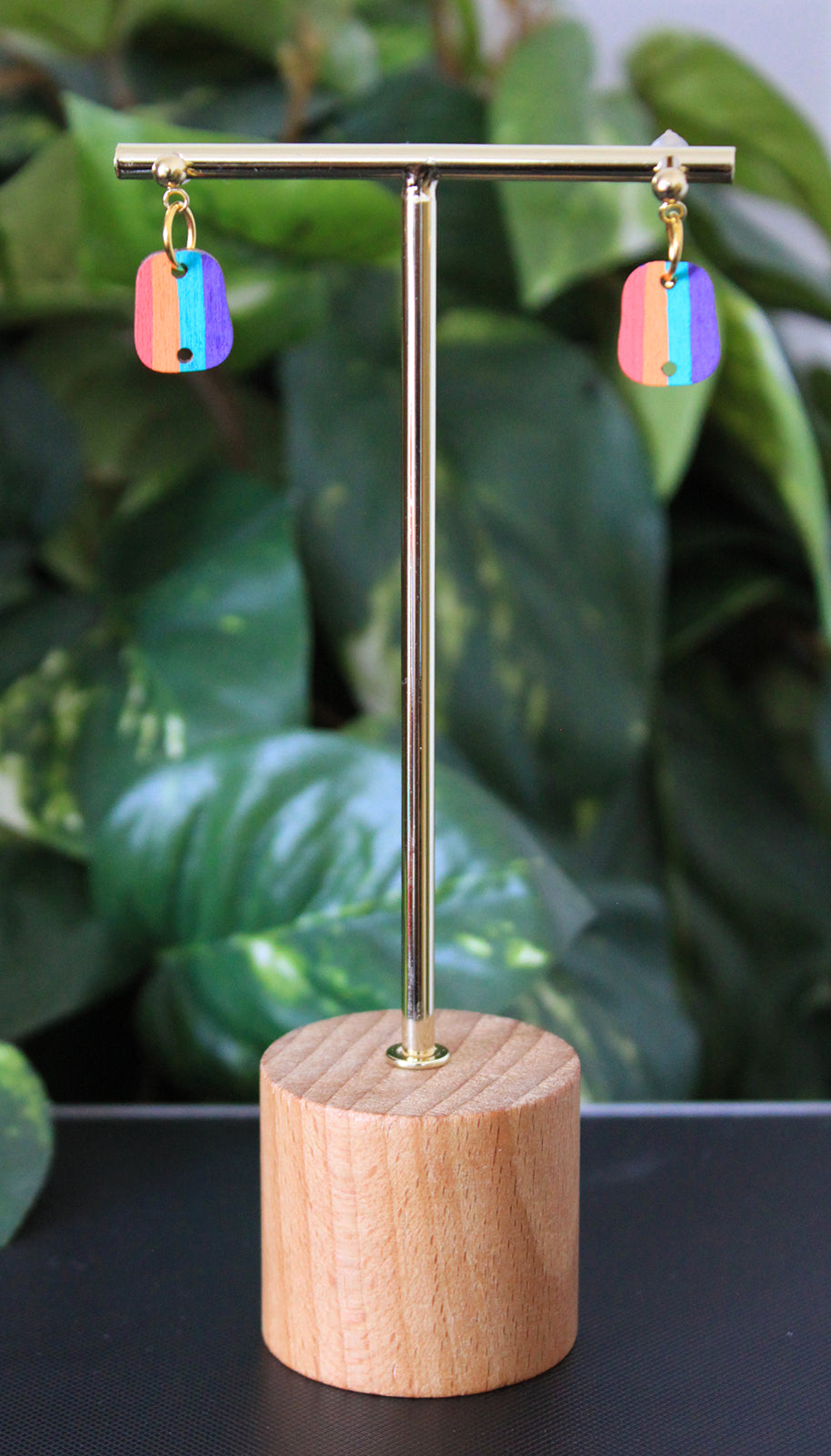 4-Colored Rainbow Small Rectangular Earrings