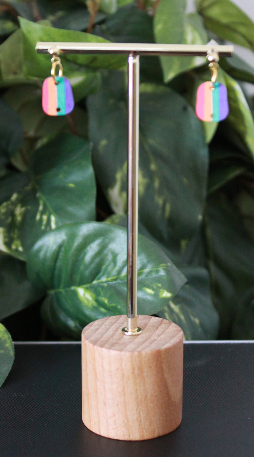 4-Colored Rainbow Small Rectangular Earrings