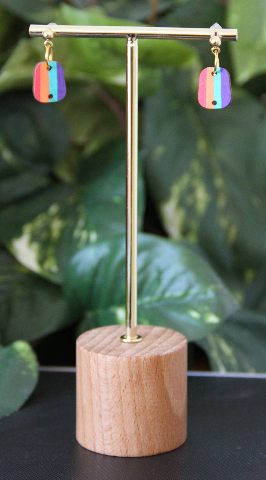 4-Colored Rainbow Small Rectangular Earrings