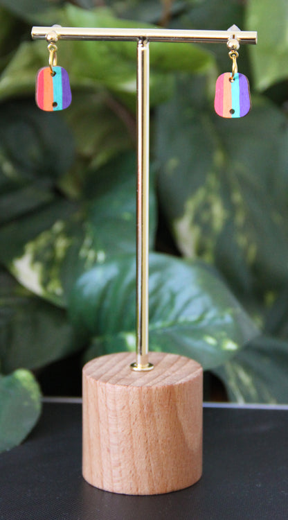 4-Colored Rainbow Small Rectangular Earrings