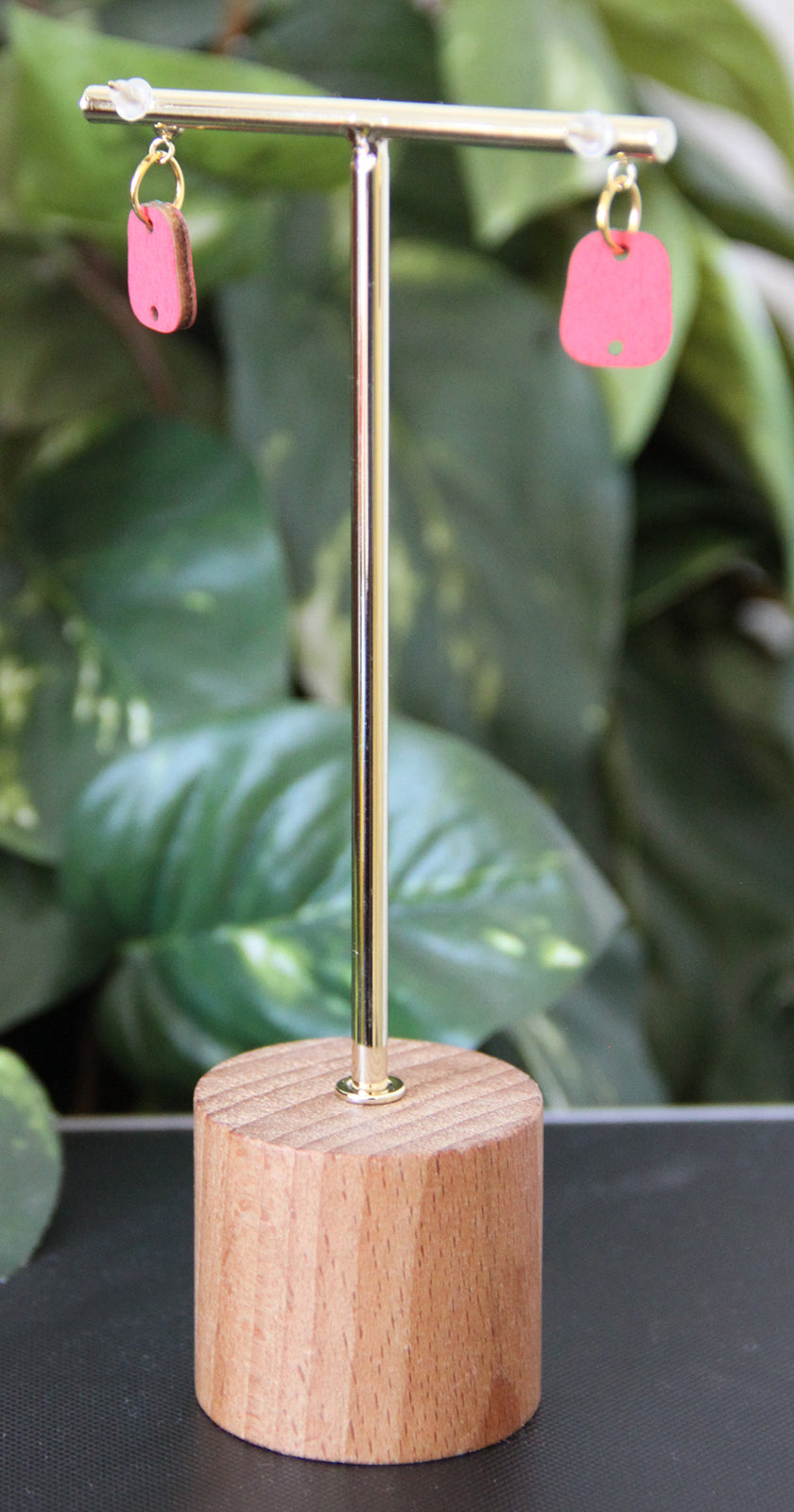 4-Colored Rainbow Small Rectangular Earrings