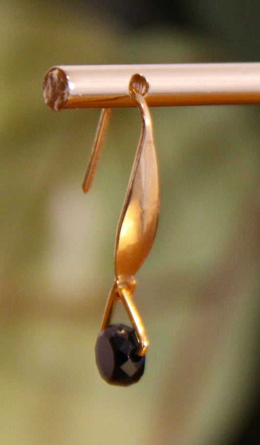 Small Black Hook Earrings