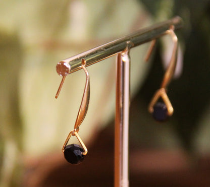 Small Black Hook Earrings