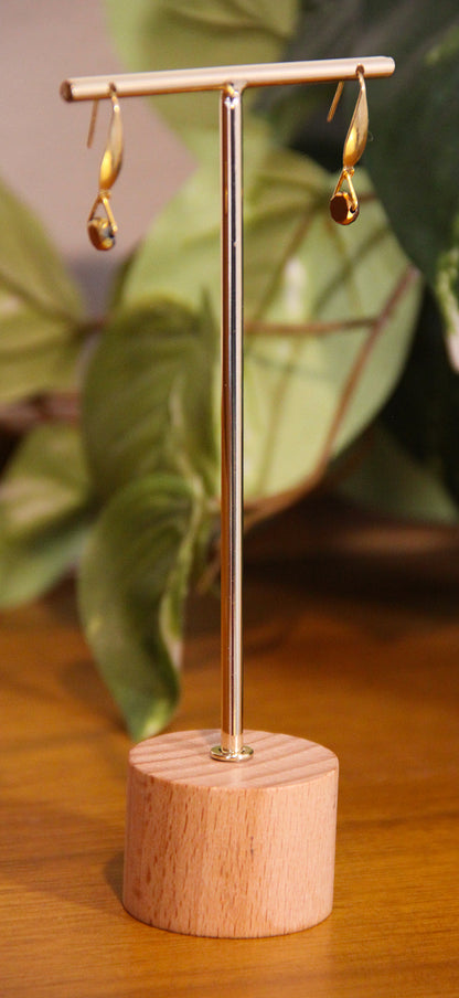 Small Rainbow Hook Earrings