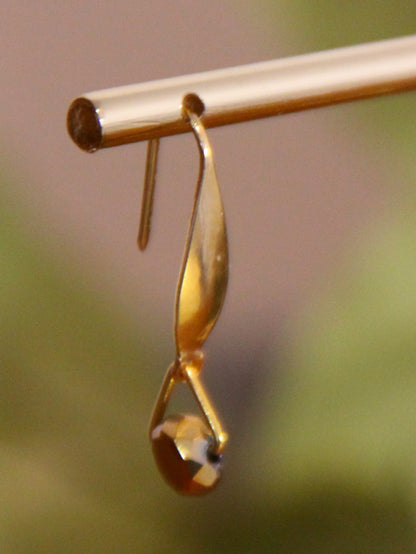 Small Rainbow Hook Earrings