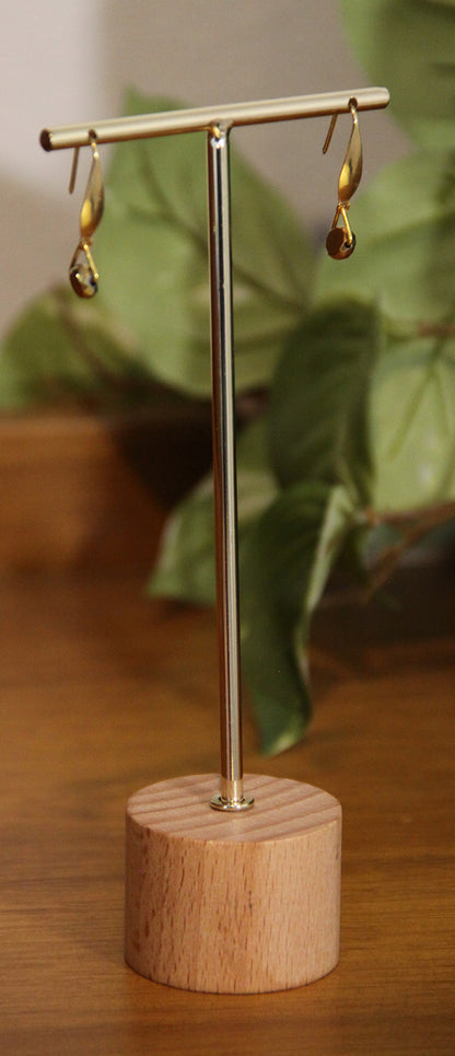 Small Rainbow Hook Earrings