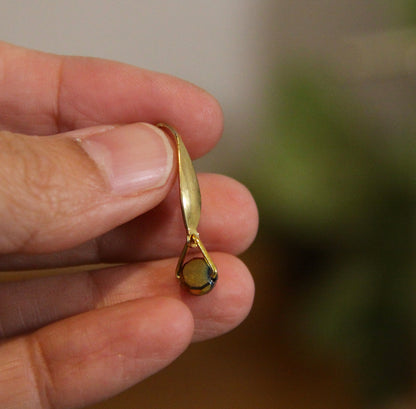 Small Rainbow Hook Earrings