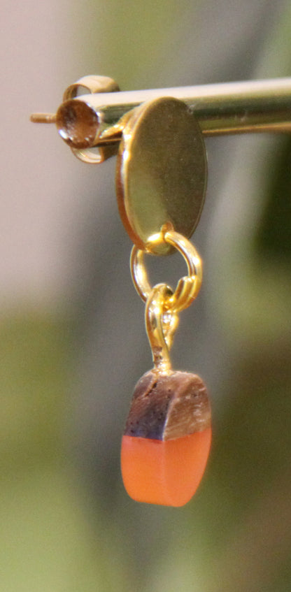 Small Orange Rust Resin Wood Earrings