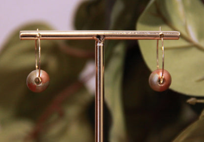 Small Gold Bead Hoop Earrings