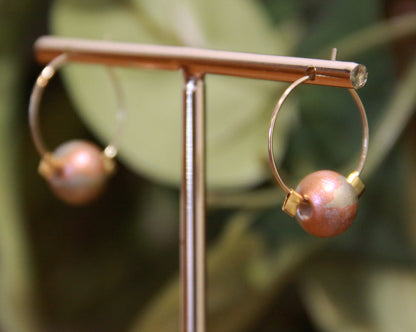 Small Gold Bead Hoop Earrings
